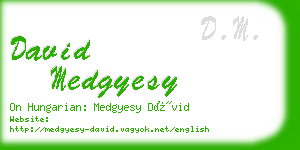 david medgyesy business card